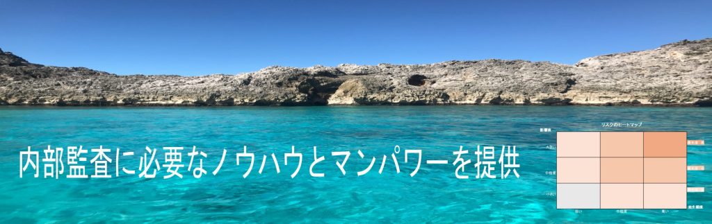 内部監査に必要なノウハウとマンパワーを提供